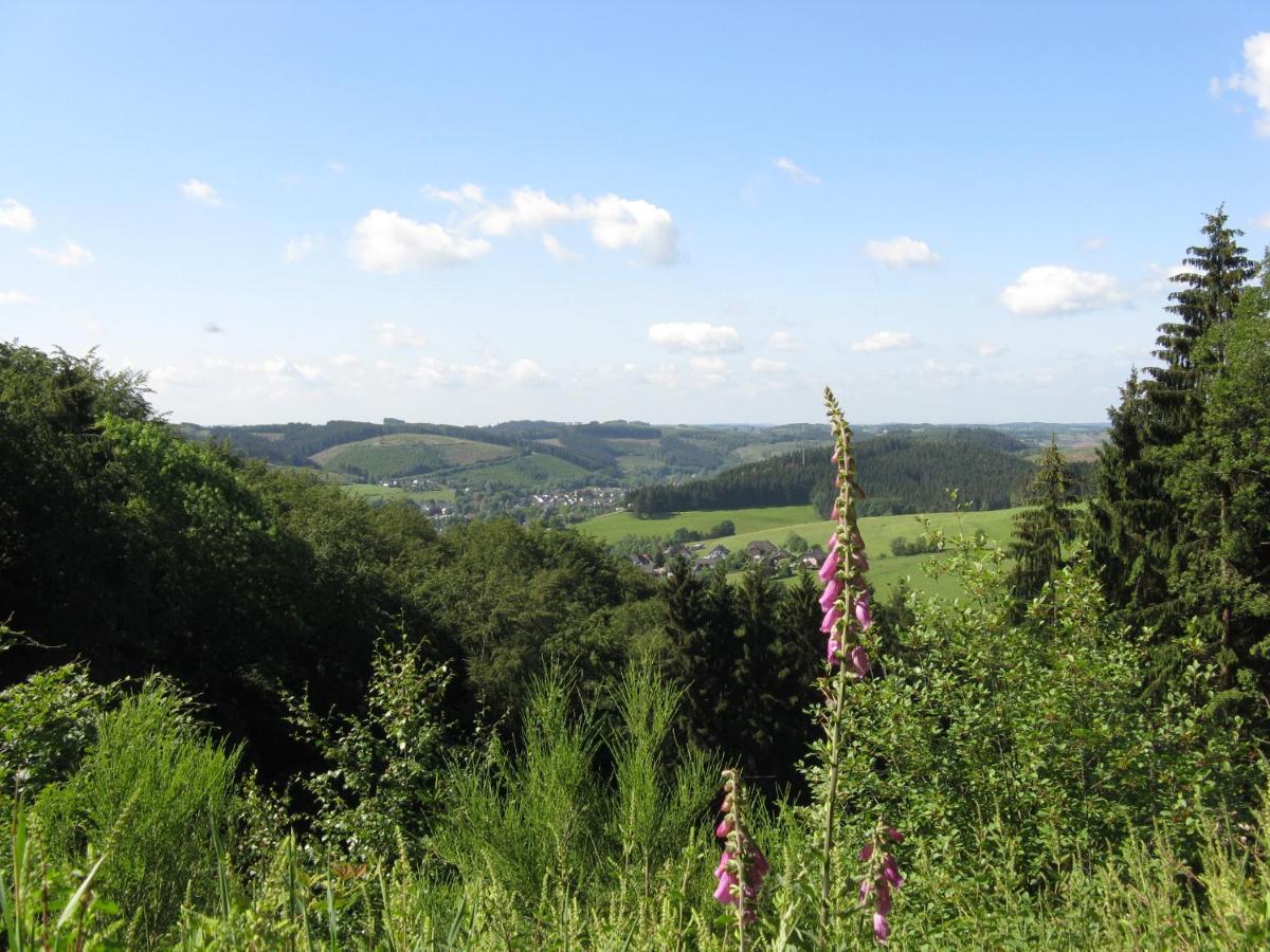 Ferienwohnung Urlaub im Naturgarten Bergneustadt Exterior foto