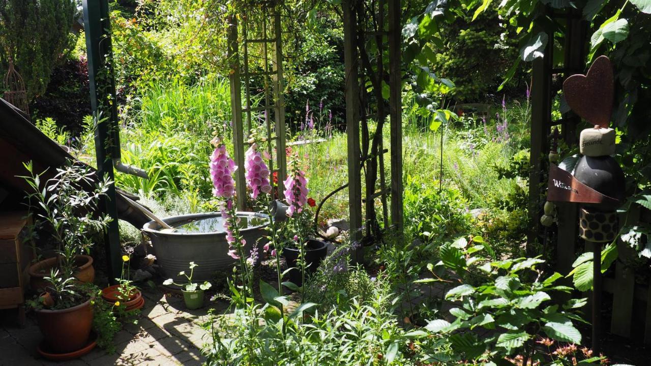 Ferienwohnung Urlaub im Naturgarten Bergneustadt Exterior foto